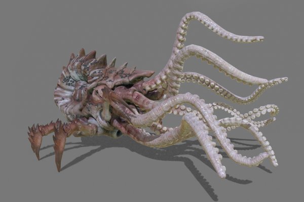 Www kraken 20at net