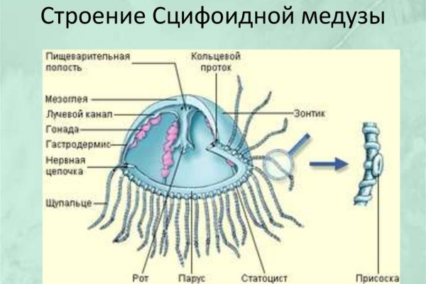 Ссылки на кракена и на мегу