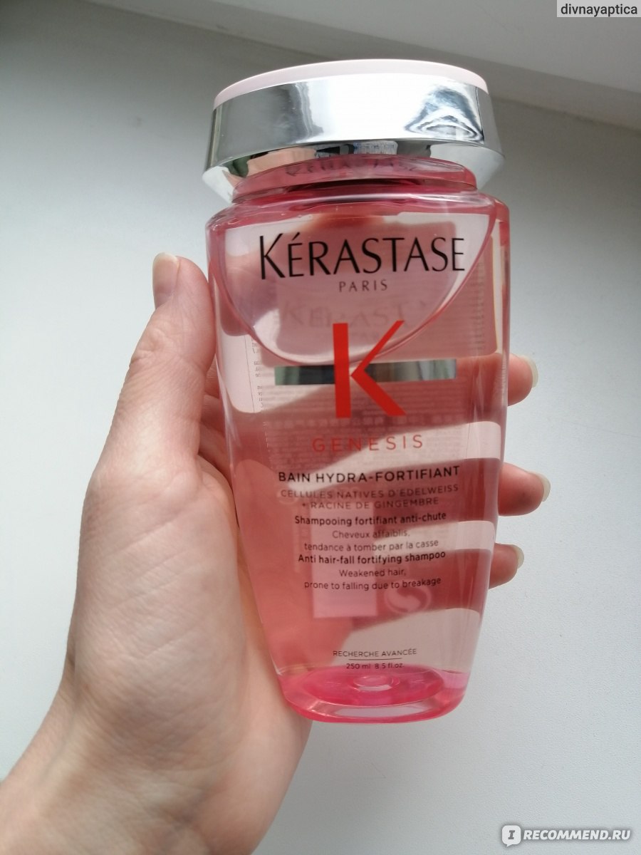 Линк кракена